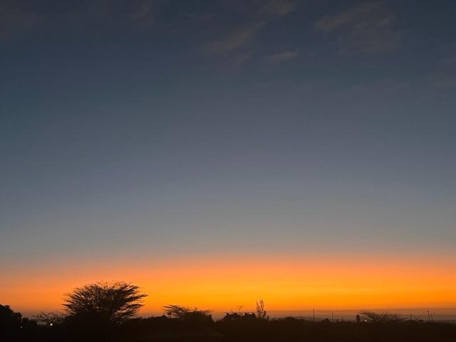 Safari